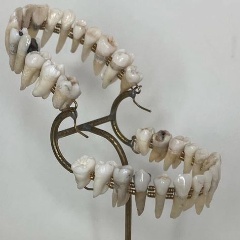 Jewelry Made Of Teeth, Human Teeth Reference, Jewelry Made From Teeth, Missing Tooth Aesthetic, Tooth Sculpture, Teeth Photography, Tooth Aesthetic, Clay Teeth, Teeth Aesthetic