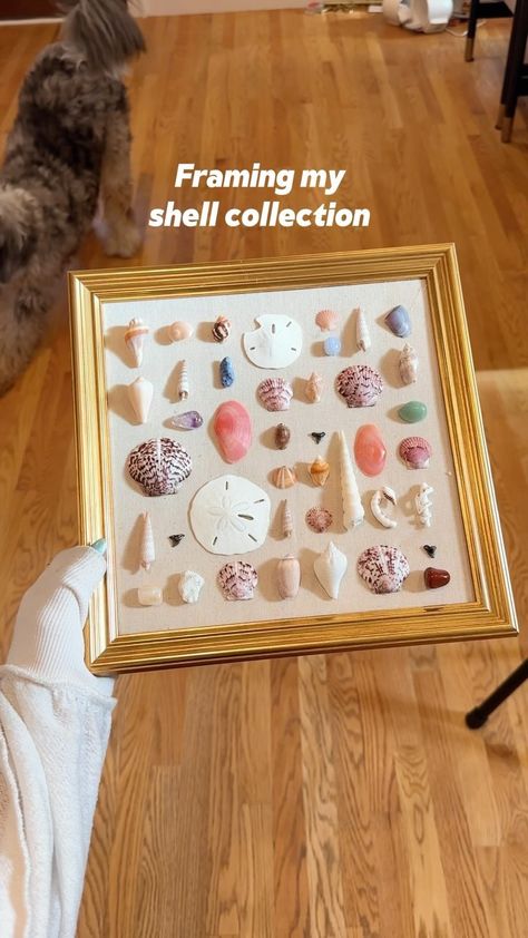 Mik Zazon | Brb i am SCREAMING. Obsessed with this. Drooling over it. I have been wanting to find a way to incorporate my love for collecting shells… | Instagram Homemade Beach Decor, Broken Shells Ideas, Ways To Display Shells, Sea Shell Diy Ideas, How To Display Seashells, Things To Do With Shells From The Beach, How To Display Shells, Shell Shadow Box Ideas, Shell Display Ideas