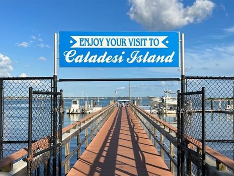 Caladesi Island, Florida Adventures, Family Beach Trip, Beach Haven, Coastal Retreat, Hidden Beach, Clearwater Beach, Scenic Routes, Places Of Interest