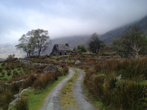 Winding Irish Country Roads : Carla Neggers Hiking In Ireland, Seaside Homes, Ireland Aesthetic, Background References, Halloween Wallpaper Iphone Backgrounds, Irish Country, Laptops And Tablets, Movie Making, Irish Countryside