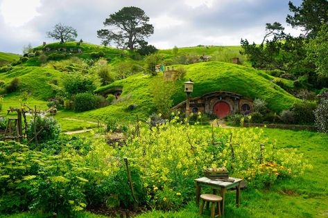 Bilbo And Frodo, Hobbit Homes, Hamilton New Zealand, Bag End, Hobbit Art, Iconic Scenes, Frodo Baggins, Hobbit House, The Shire