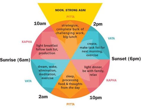 Ayurveda is truly a science of living life. Here is a diagram showing how the doshas govern the time of the day...By following the guideline, it can help you schedule your day according to your dosha in connection with the rhythm of nature. This will bring more balance to your life. Ayurveda Vata, Ayurvedic Diet, Ayurveda Life, Ayurveda Yoga, Ayurvedic Healing, Balance Exercises, Ayurvedic Medicine, Good Health Tips, Holistic Healing