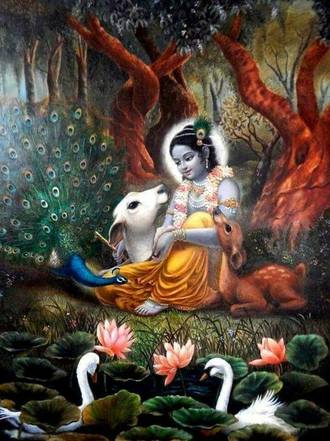 Water Lilies, Krishna, Cow, Water, Animals