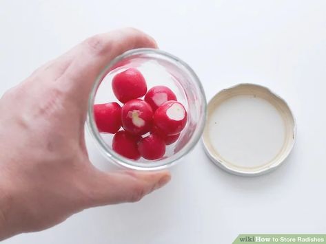 Store Radishes In Fridge, Storing Radishes In Fridge, How To Store Radishes In Fridge, Radish Storage, Storing Radishes, How To Store Radishes, Short Shelf, Canned Carrots, Food Prep Storage