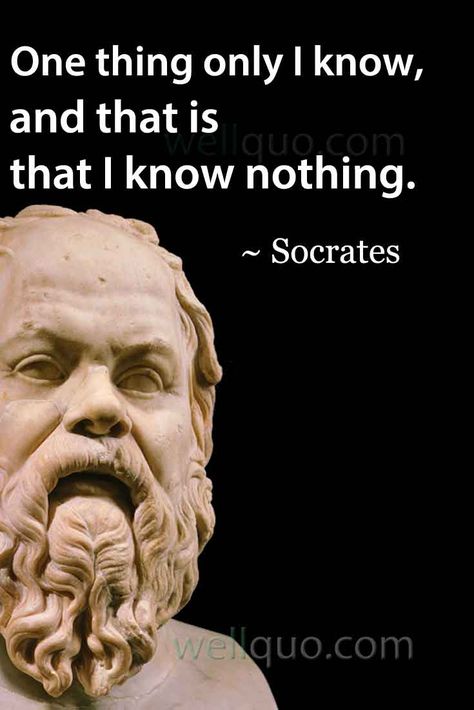 The Only Thing I Know Is I Know Nothing, Hippocrates Quotes, Daily Discipline, Plato Quotes, Socrates Quotes, Greek Philosophy, I Know Nothing, Stoicism Quotes, Stoic Quotes