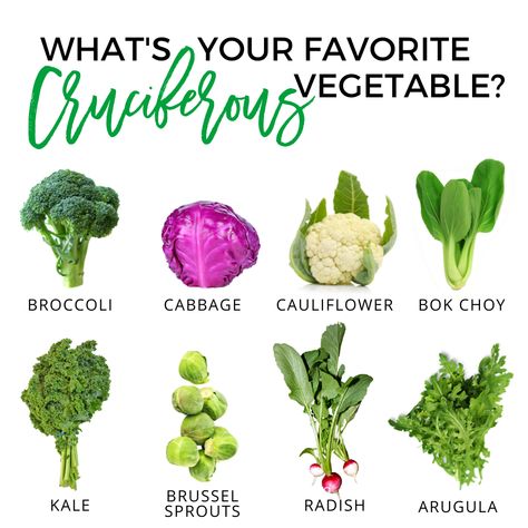 What’s your favorite cruciferous vegetable? Let me know in the comments! 👇🏼 🥦 Mine is broccoli! 😉 This week’s blog is covering all things cruciferous vegetables including what they are, why they are healthy, how to eat more, why some people should avoid them, and even recipes for you to try. Crusiferus Vegetables, Chemo Nutrition, Cruciferous Vegetables Recipes, Wfpb Vegan, Military Fitness, Cruciferous Vegetables, Heart Diet, Cooking Mama, Cycle Syncing