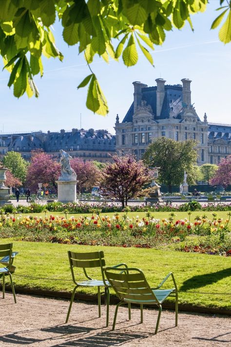 april in the jardin des tuileries in paris Paris In December, Paris Garden, Spring In Paris, Paris Rooftops, Tuileries Garden, Famous Gardens, Jardin Des Tuileries, Visit Paris, Get Outdoors