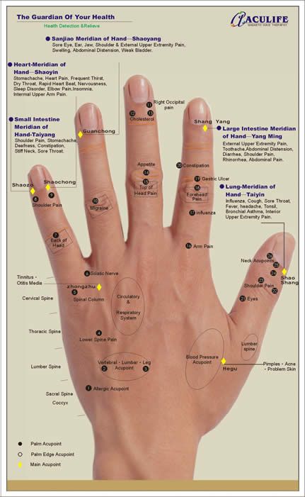 hand Weak Bladder, Ear Reflexology, Ayurvedic Therapy, Hand Reflexology, Reflexology Chart, Reflexology Massage, Foot Reflexology, Acupuncture Points, Acupressure Points