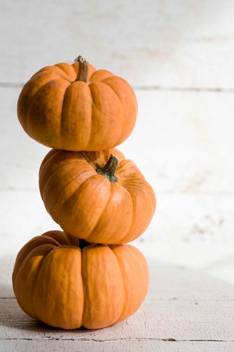 3 Pumpkins Stacked, Pumpkin Stack, Paper Mache Pumpkins, Fall Decor Diy Crafts, Autumn Ideas, Stacked Pumpkins, Halloween Painting, Carving Ideas, Fall Aesthetic