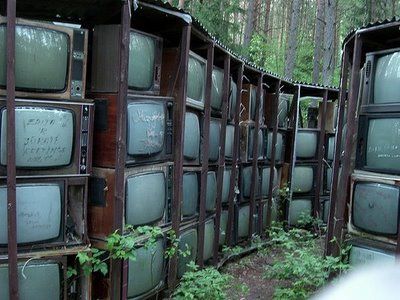 Lithuanian TV forest Big Artwork, Large Tv, Old Tv, Post Apocalyptic, Abandoned Places, Aesthetic Photo, Cyberpunk, Trees, Forest