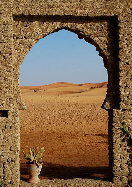 Moroccan desert Moroccan Photoshoot Ideas, Morroco Desert, Morocco Photoshoot, Arab Landscape, Arabian Desert Aesthetic, Desert Spring, Desert Forest, Leto Atreides, Moroccan Desert