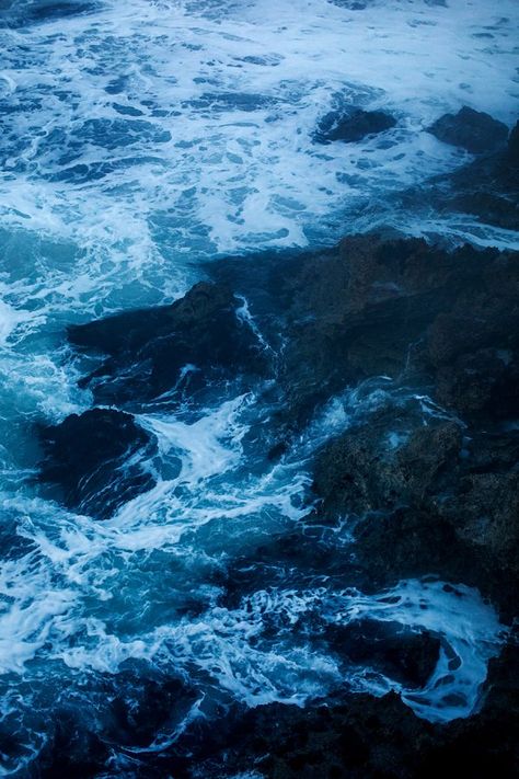 see. Kara Rosenlund, Limestone Wall, Kangaroo Island, Southern Ocean, Coastal Landscape, Sea Lion, South Australia, Bouldering, Photographic Prints