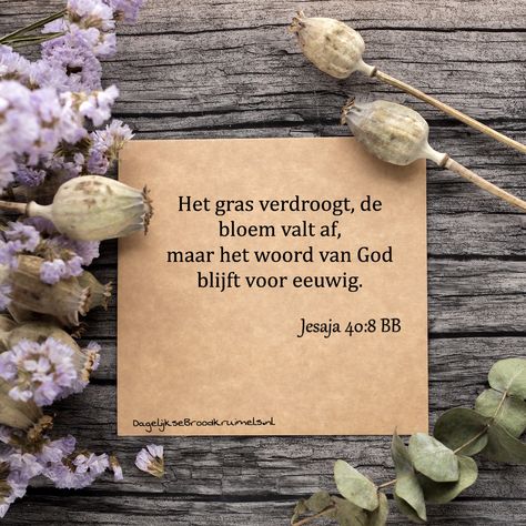 Het gras verdroogt, de bloem valt af, maar het woord van God blijft voor eeuwig. Jesaja 40:8      #Eeuwig, #GodsWoord  https://www.dagelijksebroodkruimels.nl/jesaja-40-8-2/ Scripture Photography, Catchy Words, Karl Popper, Bible Board, Woord Van God, Proverbs 21, Scripture Memorization, Bible Truths, Memorization