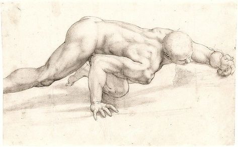 The Drawings of Bronzino - The Metropolitan Museum of Art Crawling Pose, Architecture Drawing Presentation, Harvard Art Museum, Master Drawing, The Royal Collection, Figure Sketching, Amazing Drawings, Anime Drawings Tutorials, Drawing Reference Poses