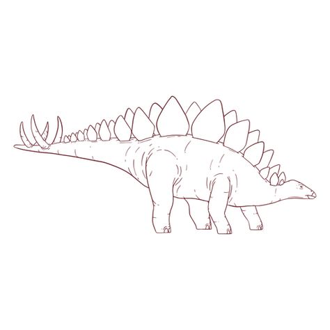 Stegasorus Dinosaur Drawing, Stegosaurus Doodle, Stegasorus Tattoo, Stegasorus Dinosaur, Stegosaurus Drawing, Stegosaurus Tattoo, Dino Tattoo, Dinosaur Outline, Dino Nuggets