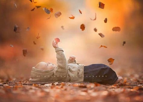 Nice idea 6 Month Baby Picture Ideas Boy, Fall Baby Photos, Baby Picture Ideas, Fall Baby Pictures, 6 Month Baby Picture Ideas, Baby Milestones Pictures, Family Photos With Baby, Baby Photoshoot Boy, Baby Boy Pictures