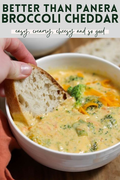 Easy Broccoli Cheddar Soup, Dumplings Recipes, Creamy Broccoli Cheddar Soup, Broccoli Cheddar Soup Recipe, Cheddar Soup Recipe, Soup Dumplings, Broccoli Cheese Soup Recipes, Easy Broccoli, Cheese Soup Recipes