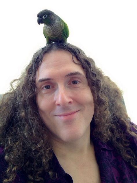 Wierd Al Yankovic with a bird on his head (Typical Sunday to him) <---- IKR? Love this guy! Wierd Al Yankovic, Weird Al Yankovic Aesthetic, Al Yankovic, Weird Al Yankovic, Cartoon Network Tv, Lets Get Weird, Odd Fellows, Kool Kids, Body Poses