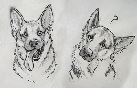 German shepherds Drawings Of Dogs, Face Sketches, Drawing Animals, Dog Sketch, Cute Sketches, Arte Sketchbook, Animal Sketches, Floral Artwork, Arte Animal