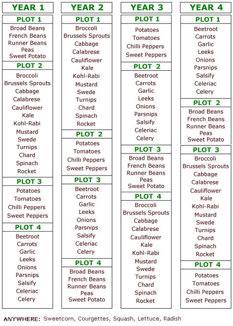 crop rotation - Google Search Garden Homestead, Plantarea Legumelor, Veg Patch, Aesthetic Header, Allotment Gardening, Garden Layout Vegetable, Vegetable Garden Planning, Crop Rotation, Veg Garden