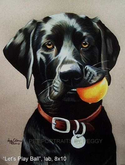 Painting Of Labrador, Black Lab Drawing Easy, Black Lab Drawing, Black Labrador Painting, Black Lab Painting, Black Lab Art, Lab Painting, Labrador Nero, Dog Caricature