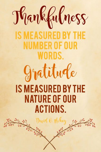 Thankgiving Quotes, Puns For Kids, Palanca Ideas, Thanksgiving Meaning, Thanksgiving Verses, Seasonal Quotes, Thanksgiving Puns, Journal November, Thankful And Grateful