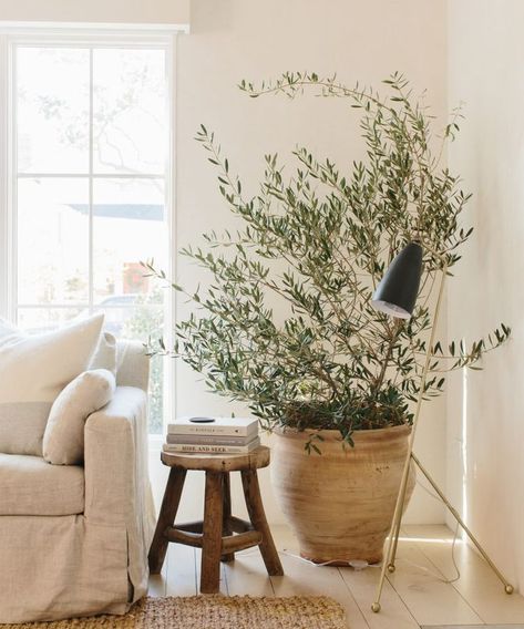 Our CEO Julia Hunter's Venice Home is a Minimalist Dream | Living | Rip & Tan #livingroominspo #houseplants #greenery Remodel Diy, Mediterranean Decor, Interior Pictures, Natural Interior, Remodel Kitchen, Dream Living, Interior Modern, Cool Ideas, A Living Room