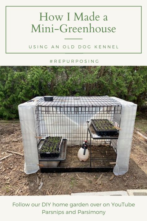 This video shows you how I turned an old dog kennel into a mini-greenhouse repurposing materials found around my house. Total cost: $0!!! Repurposed Dog Kennel, Diy Small Greenhouse, Diy Mini Greenhouse, Large Dog Kennel, Homemade Greenhouse, Garden 101, Cheap Greenhouse, Diy Greenhouse Plans, Cozy Garden