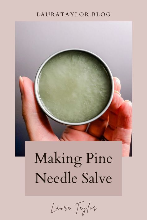 Pine Infused Oil, Pine Salve Recipe, Things To Make With Pine Needles, Pine Needle Salve Recipe, Pine Oil Diy, Pine Resin Salve, Pine Needle Baskets Ideas, Pine Needle Salve, Uses For Pine Needles