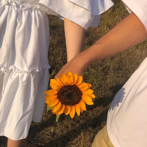 Sunflower Couple, Flower Picks, Travel Pictures Poses, Cool Wallpapers For Phones, Couples Poses For Pictures, Deep Thought Quotes, Couple Aesthetic, Poses For Pictures, Picture Poses