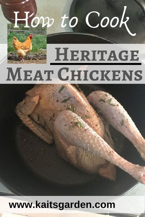 How to Cook Heritage Meat Chickens (or ducks or turkeys) / Backyard Chickens / Homestead Recipes Chickens Homestead, Raising Chickens For Beginners, Chickens For Beginners, Raising Meat Chickens, Heritage Chickens, Homestead Recipes, Meat Birds, Healthy Slow Cooker, Slow Cooker Recipes Healthy