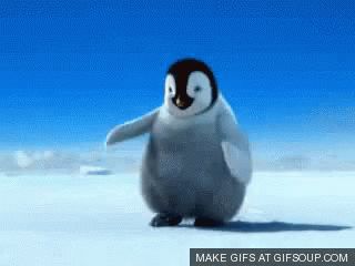 Happy Feet Dancing GIF - HappyFeet Dancing Penguin - Discover & Share GIFs Penguin Videos, Penguin Dance, Happy Penguin, Penguin Species, Good Morning Funny Pictures, Dancing Gif, Happy B Day, Cute Penguins, Funny Reaction Pictures