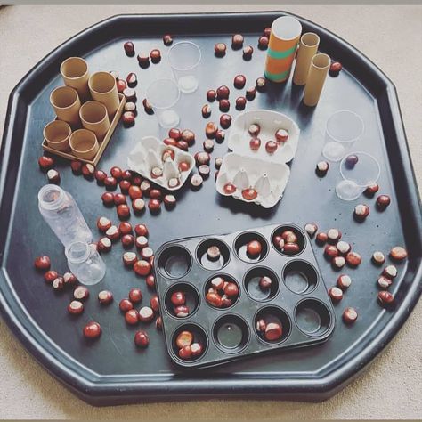 Conkers Activity Eyfs, Conker Activities Eyfs, Autumn Nursery Activities, Autumn Activities Eyfs, Autumn Tuff Tray Ideas, Autumn Tuff Tray Ideas Eyfs, Eyfs Autumn, Autumn Eyfs Activities, Autumn Eyfs