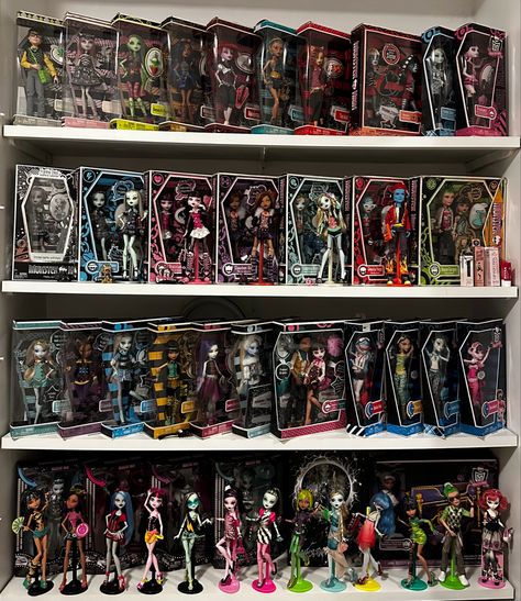 Monster High Dolls Collection, Monster High Display, Monster High Doll Collection, Monster High Collection, Monster High Room, New Monster High Dolls, Tumblr Girly Aesthetic 2013, Monster High Birthday Party, Mh Dolls