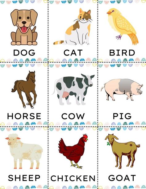 Free Printable Animals Flash Cards 01B Animals Chart Free Printable, Tame Animals Activities For Preschool, Animal Chart For Kids, Animals Pictures For Kids Printables, Animals For Kids Teaching, Animal Flashcards Printable Free, Flashcard Animals, Zoo Animals Flashcards, Animals For Kindergarten