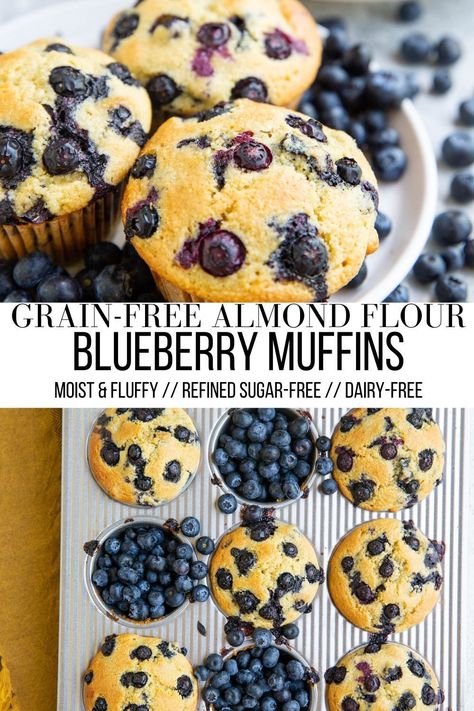 Blueberry Almond Flour Muffins made grain-free, dairy-free, and refined sugar-free. These healthy blueberry muffins are moist, fluffy, perfectly sweet and make for a wholesome snack or breakfast! #grainfree #paleo #glutenfree #healthy #muffins #almondflour Frozen Blueberry Muffins, Sugar Free Blueberry Muffins, Dairy Free Blueberry Muffins, Almond Flour Blueberry, Almond Flour Blueberry Muffins, Paleo Blueberry Muffins, Gluten Free Blueberry Muffins, Almond Flour Muffins, Paleo Muffins