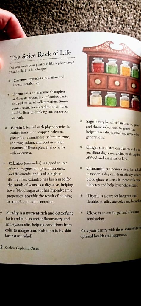 Kitchen Witch Cookbook, Kitchen Witch Tips, Kitchen Witchery Recipes, Witches Cookbook, Witchcraft Recipes, Witch Types, Kitchen Witches, Kitchen Witchcraft, Hearth Witch