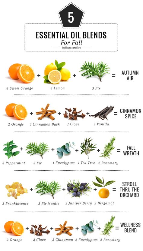 5 Essential Oil Blends To Make Your House Smell Like Fall | HelloNatural.co مربى الفراولة, Joululahjat Diy, معطر جو, Fall Essential Oil Blends, Lilin Aroma, Fall Essential Oils, Potpourri Recipes, Săpunuri Handmade, Soya Mumu