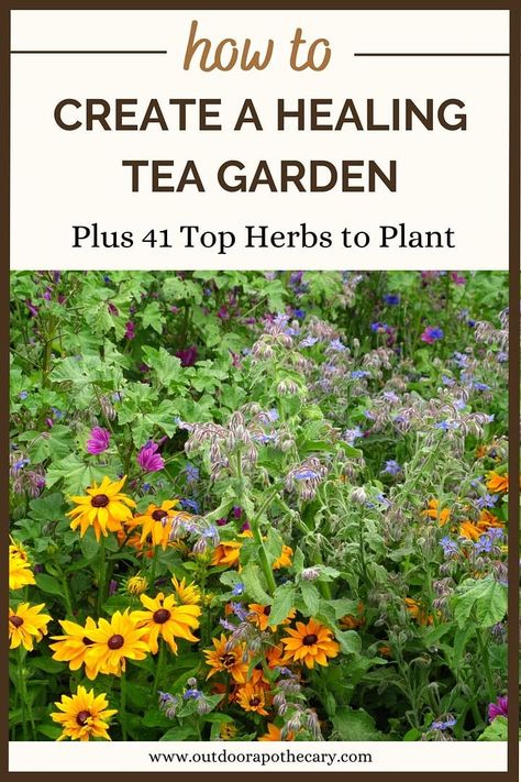 Diy Tea Garden, List Of Medicinal Herbs, Herbal Tea Garden Plants, Herbs For Tea Garden, Herbal Tea Garden Design, Garden Herbs Ideas, Best Medicinal Herbs To Grow, Tea Plants To Grow, Medicinal Flower Garden