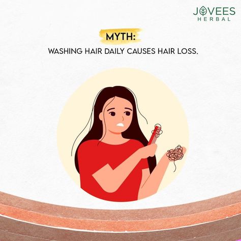 Know the myths, and believe in the facts! For your any other hair problem, you have Jovees Herbal Hair Care Range.

#JoveesHerbal #BloomDaliy #Haircare #CrueltyFree #ParabenFree #Myth #Fact Myth Fact, Herbal Hair Care, Hair Problem, Hair Facts, Instagram Prints, Herbal Hair, Hair Problems, Washing Hair, About Hair