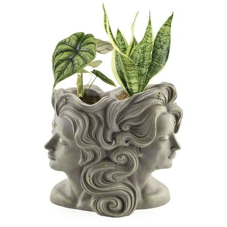 Esterno 2-Headed Gemini Planter With Drainage Holes; Double Pot Zodiac Decor Expressive and quick-witted, Gemini represents two different personalities in one and you will never be sure which one you will face. They are sociable, communicative and ready for fun, with a tendency to suddenly get serious, thoughtful and restless. Our resin planter pot represents these two personalities, also featuring a double pot. Resin is durable and sturdy and can withstand outdoor elements if you choose, but will also make a beautiful decor piece for indoor use. Check out Esterno for all your gardening needs! USES: Air plants Cactus planter Shelf decor FEATURES Size: 7.63 x 4.75 x 7.94 inches (19.4 x 12.1 x 20 centimeters) Capacity: 5/6 cup = 6.7 fluid ounces = 198 milliliters Weight: 2.3 pounds (1.05 kil Herb Garden Gift, Planter Shelf, Zodiac Decor, Two Personalities, Air Cleaning Plants, Ceramic Sculpture Figurative, Different Personalities, Plants Cactus, Resin Planters