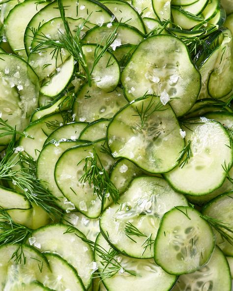 Recipe: Salt and Vinegar Cucumbers — Recipes from The Kitchn Salt And Vinegar Cucumbers, Cucumbers In Vinegar, Pickled Cucumber Salad, Vinegar And Oil, Vinegar Cucumbers, Prediabetic Diet, Salt And Vinegar, Classic Salad, Quick Pickled Cucumbers