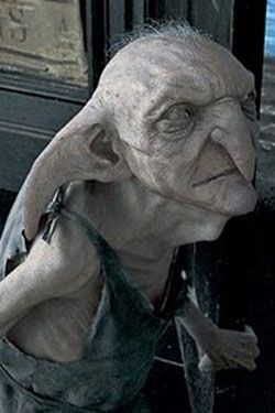 Kreacher Harry Potter, Harry Potter Travel, Walburga Black, Harry Potter Wiki, Harry Potter Character, House Elf, Harry Potter Oc, Gellert Grindelwald, Character Types