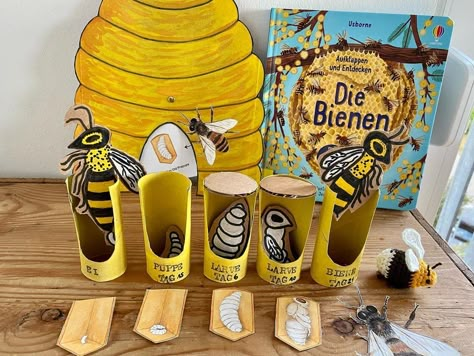 Linda Mydlak on Instagram: “Bee lifecycle 🐝 We made this toilet paper roll bee lifecycle last year and it still looks lovely! The kids had lots of fun arranging…” Bee Lifecycle, Bee Life Cycle, Bee Activities, Science Projects For Kids, Bee Crafts, Garden Art Crafts, Paper Towel Roll Crafts, Animal Projects, Garden Art Sculptures