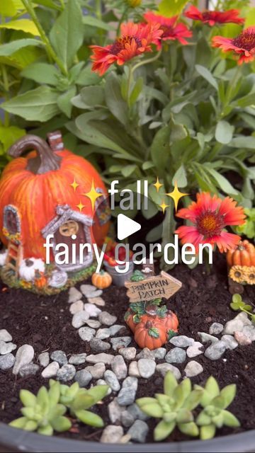 Fall Fairy Garden Ideas, Outside Fairy Garden, Fairy Garden Ideas Outdoor, Fall Fairy Garden, Fairy Garden Box, Kids Fairy Garden, Fairy Terrarium, Halloween Fairy Garden, Fall Fairy