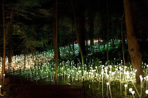 Bruce Munro is a British Installation artist, and most probably my favourite installation artist. His installations leave you speechless; his use of light to delicately transform a landscape is jus… Forest Fort, Bruce Munro, Villa Classic, Electric Art, Resort Ideas, Light Art Installation, Forest Light, Longwood Gardens, Artistic Installation