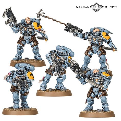 Space Wolves 40k, Warhammer 40k Kill Team, 40k Space Wolves, 40k Kill Team, Team Lineup, Warhammer Diorama, Warhammer 40k Space Wolves, Warhammer 40k Blood Angels, Space Wolf