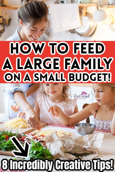 How to Feed a Large Family on a Small Budget: 8 Creative Tips! Feeding Large Family, Family Of 8, Food Cost, Grocery Budgeting, Get Out Of Debt, Small Budget, Smart Money, Mom Advice, Large Family