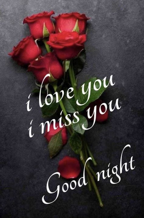 Quotes My Love, Good Night Rose, Good Night Love Pictures, Romantic Good Night Image, Good Night Love, Good Night Sweetheart, Dove Images, Good Night I Love You, Beautiful Good Night Quotes