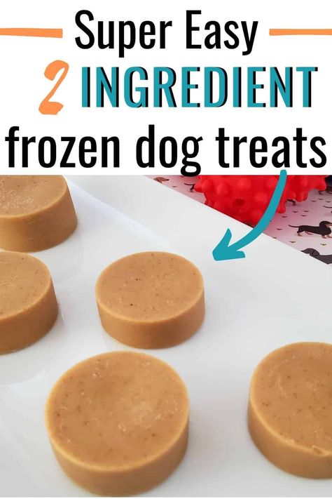 Frozen Dog Treats Recipes, Frozen Dog Treats Homemade, Pet Treats Recipes, Dog Treats Homemade Easy, Easy Dog Treat Recipes, Frozen Dog Treats, Dog Biscuit Recipes, Easy Dog Treats, Healthy Dog Treats Homemade